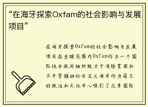 “在海牙探索Oxfam的社会影响与发展项目”